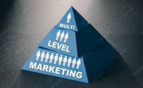 the top mlm service provider in kerala